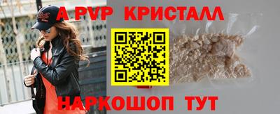 эйфоретик Кингисепп