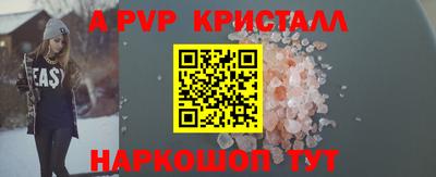 эйфоретик Кингисепп