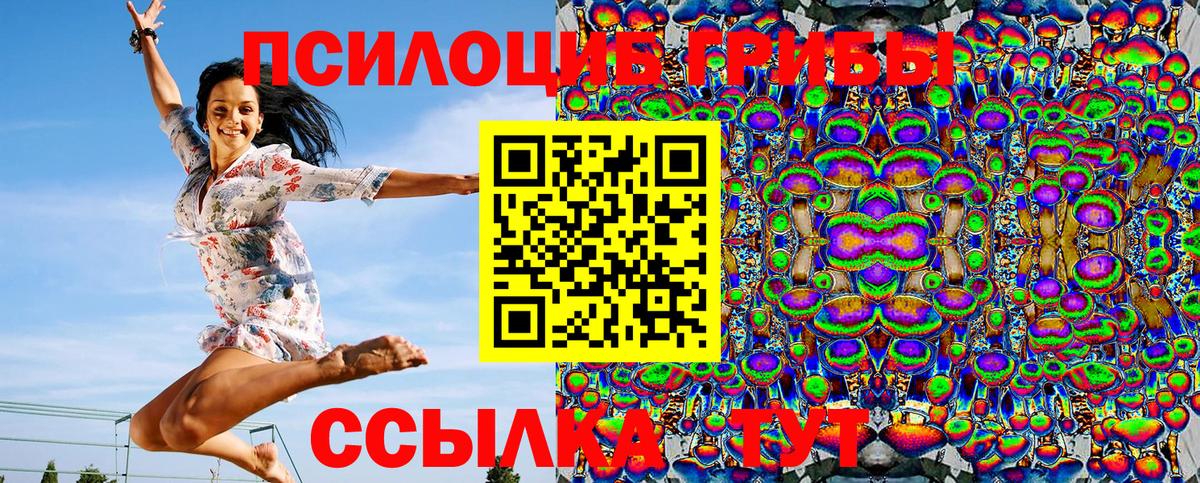 Псилоцибиновые грибы мухоморы  дарнет шоп  Вход с VPN  Крымск  Псилоцибиновые грибы мицелий 