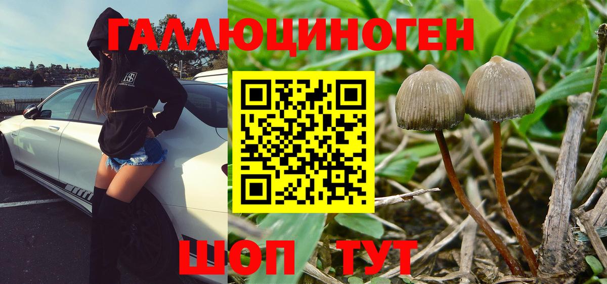 Галлюциногенные грибы Magic Shrooms Крымск